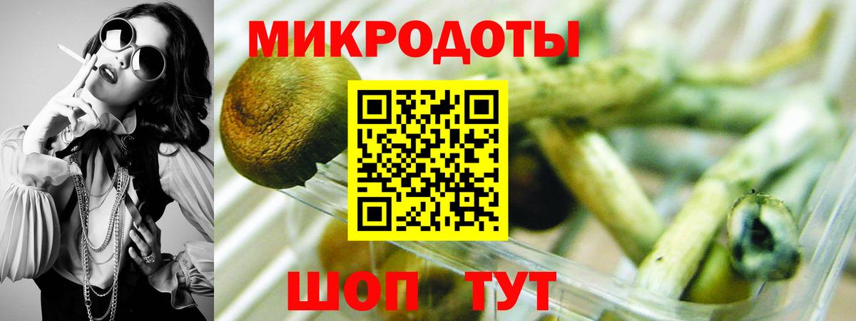 Псилоцибиновые грибы прущие грибы Павлово