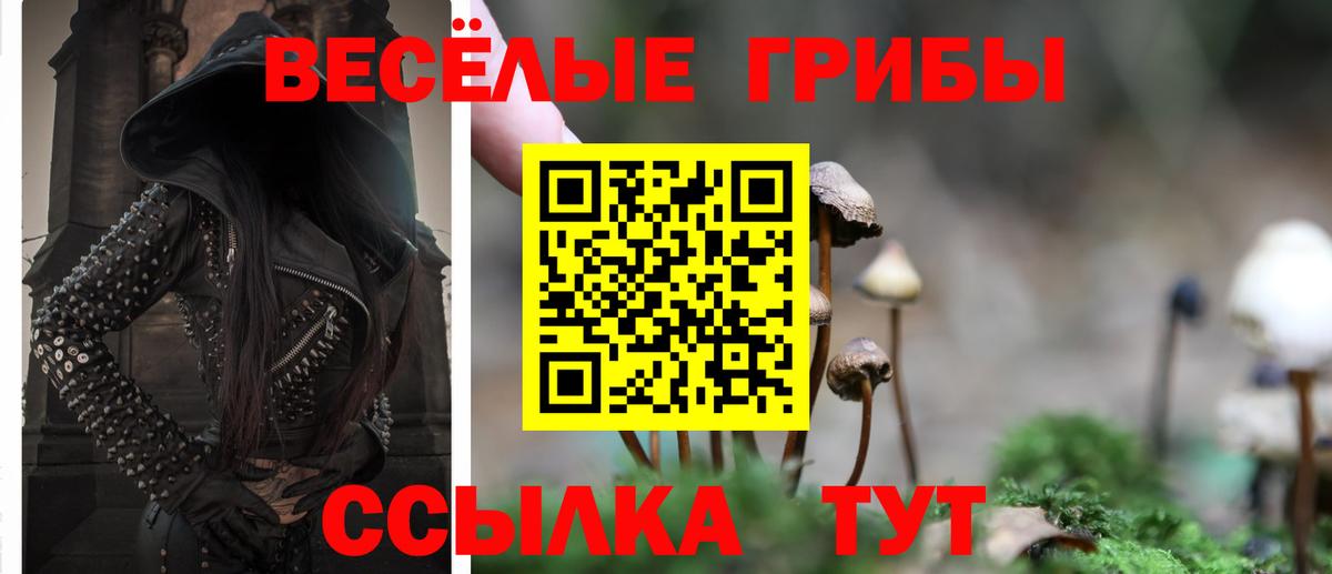 Павлово  Галлюциногенные грибы MAGIC MUSHROOMS  Псилоцибиновые грибы мицелий  Вход с VPN 